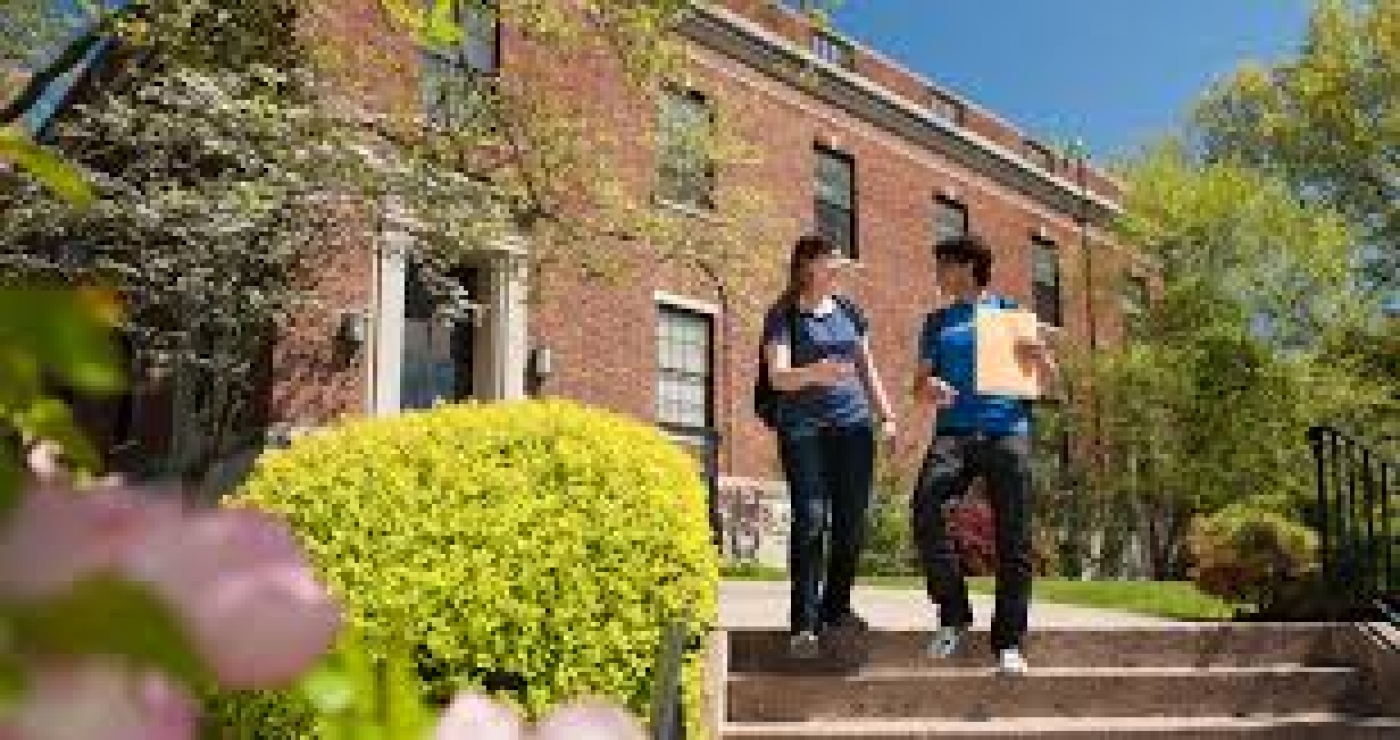 University of New Haven